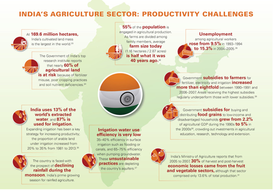 Agriculture into India's Growth