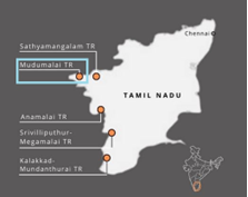 Anamalai Tiger Reserve 