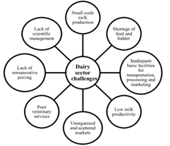 Challenges of Dairy Sector in India