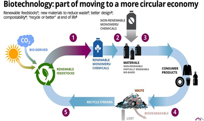 Biotechnology