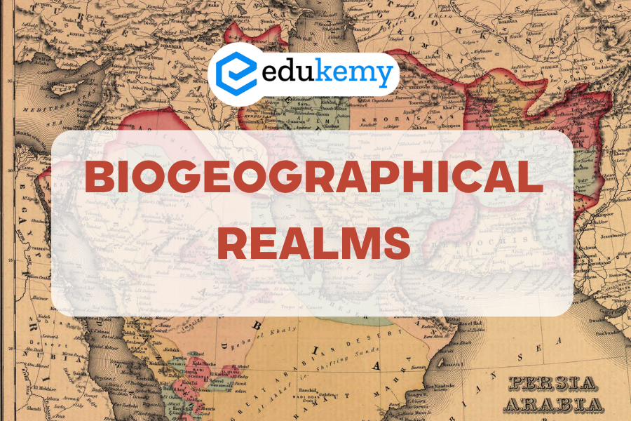 Biogeographical Realms